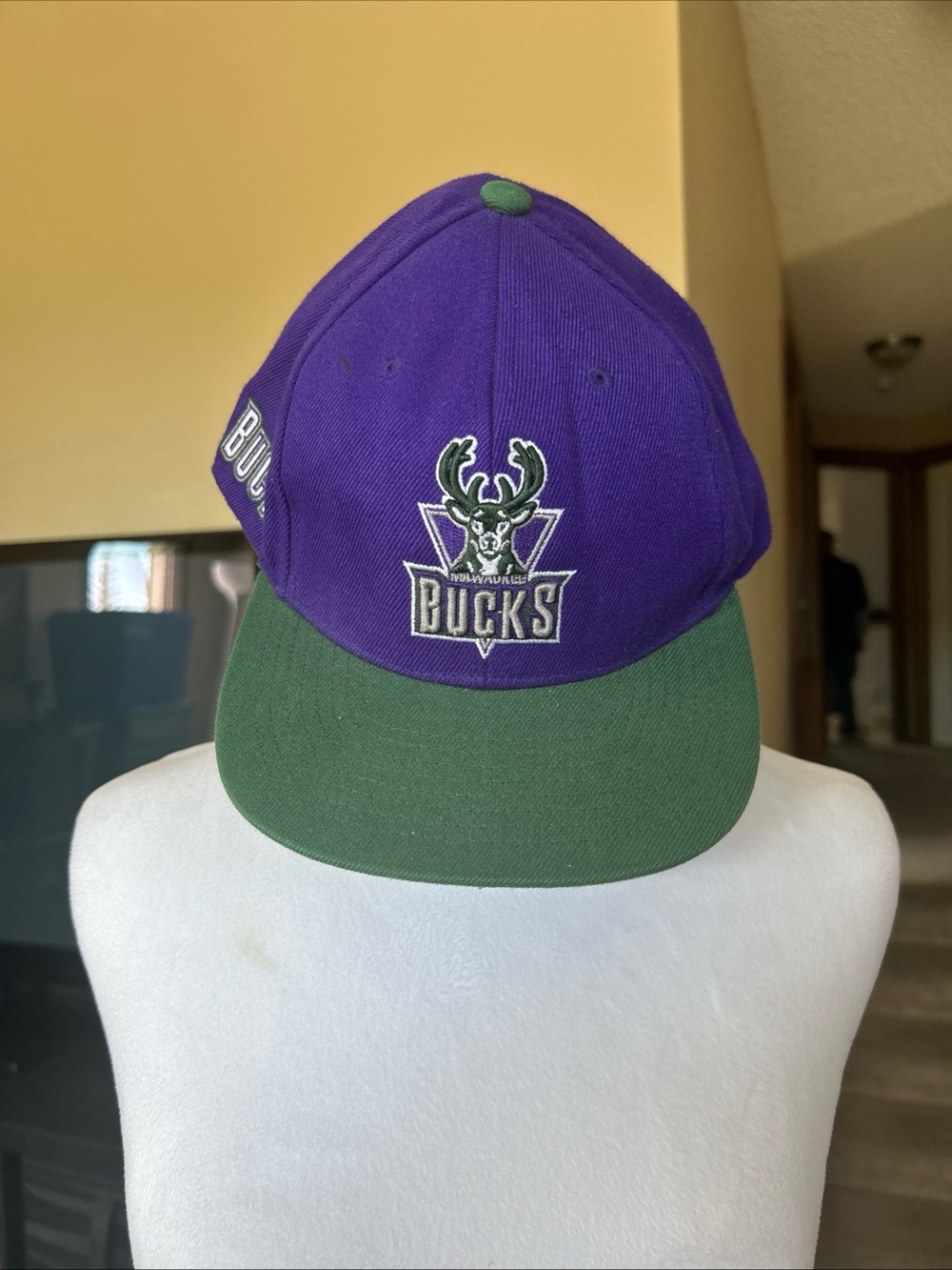 Mitchell & Ness Milwaukee Bucks Purple and Green Retro Snapback Cap
